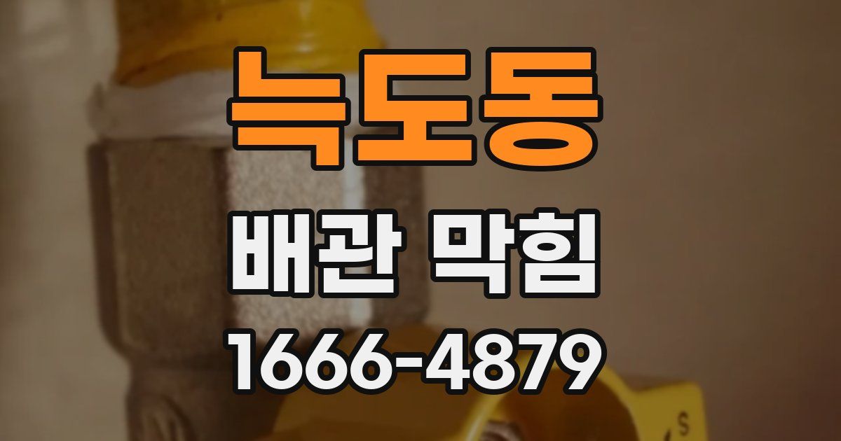 늑도동 배관 막힘