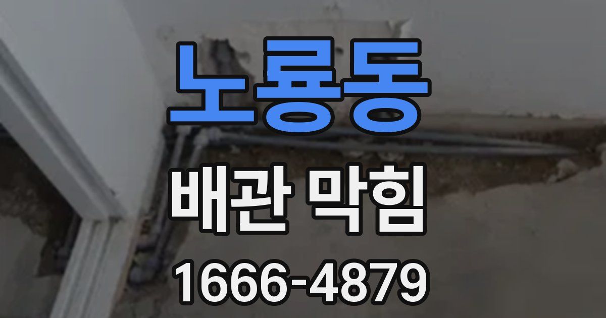 노룡동 배관 막힘