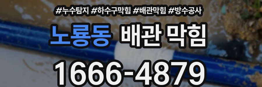 노룡동 배관 막힘