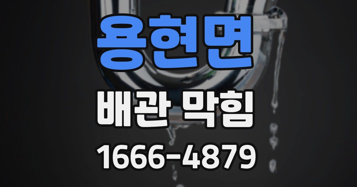 용현면 배관 막힘