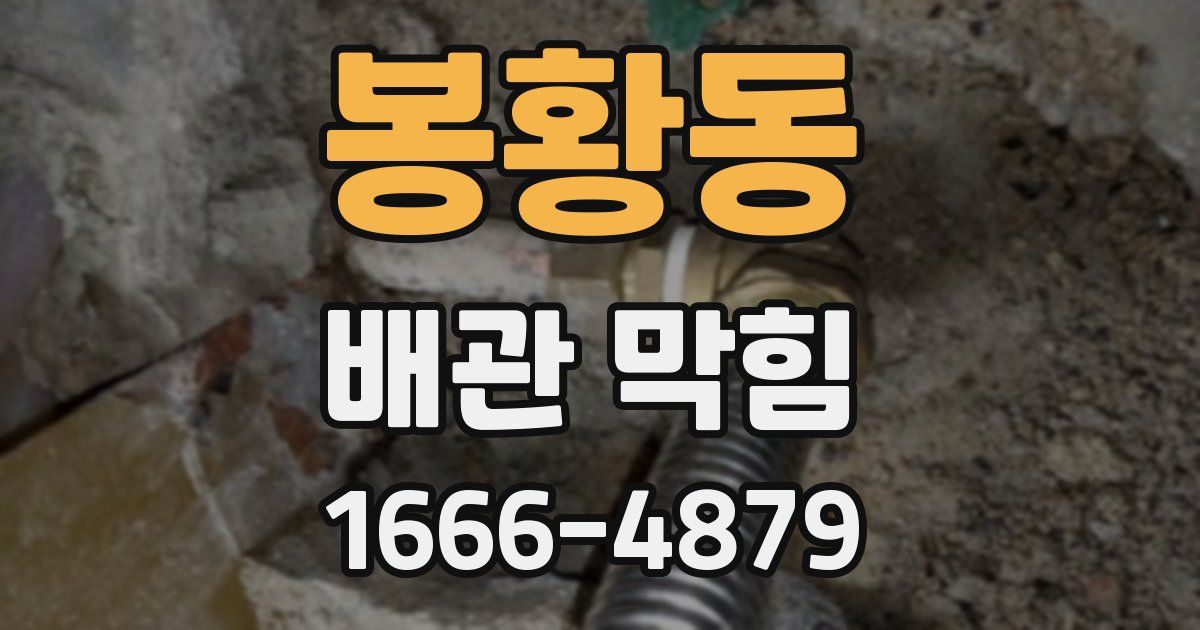 봉황동 배관 막힘