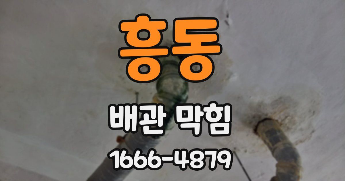 흥동 배관 막힘