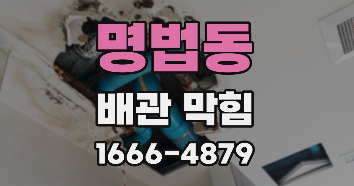 명법동 배관 막힘