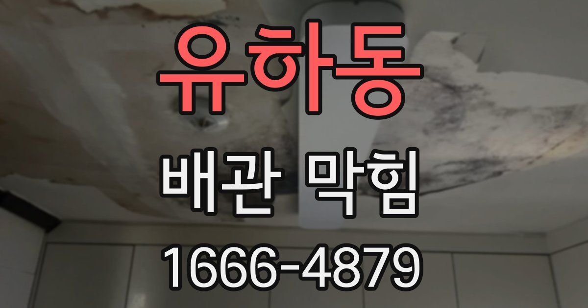 유하동 배관 막힘