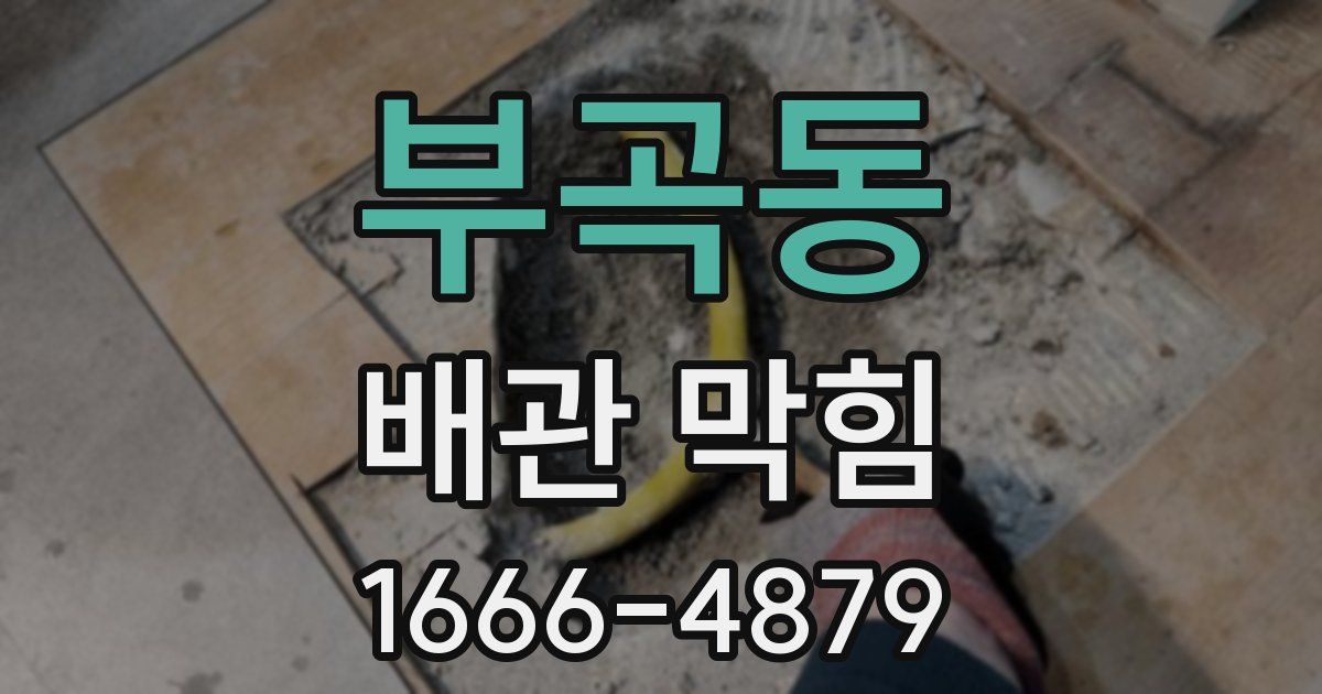 부곡동 배관 막힘