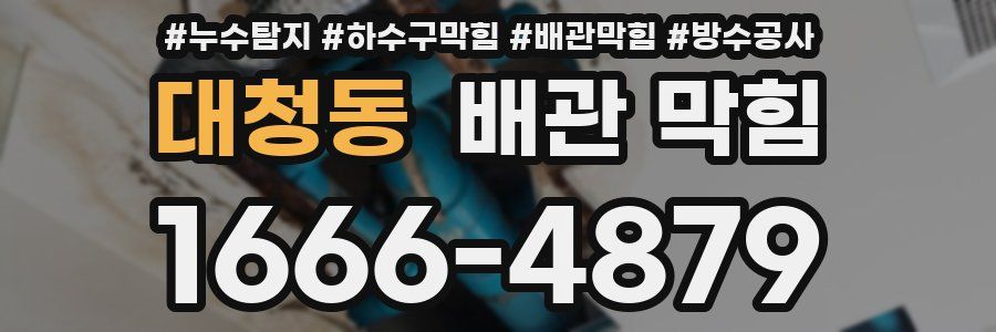 대청동 배관 막힘