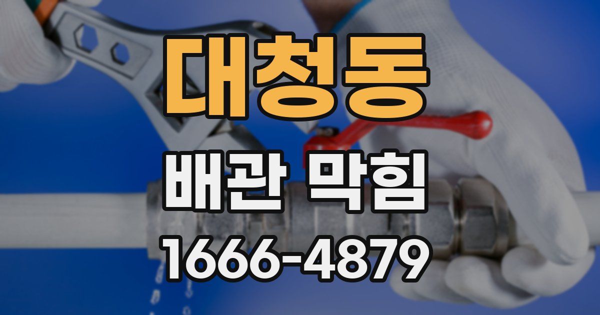 대청동 배관 막힘