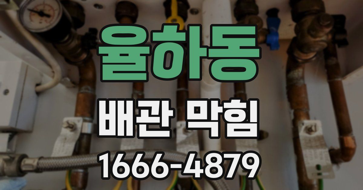 율하동 배관 막힘