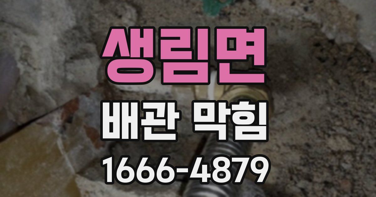 생림면 배관 막힘
