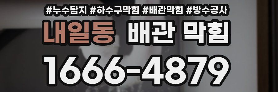 내일동 배관 막힘