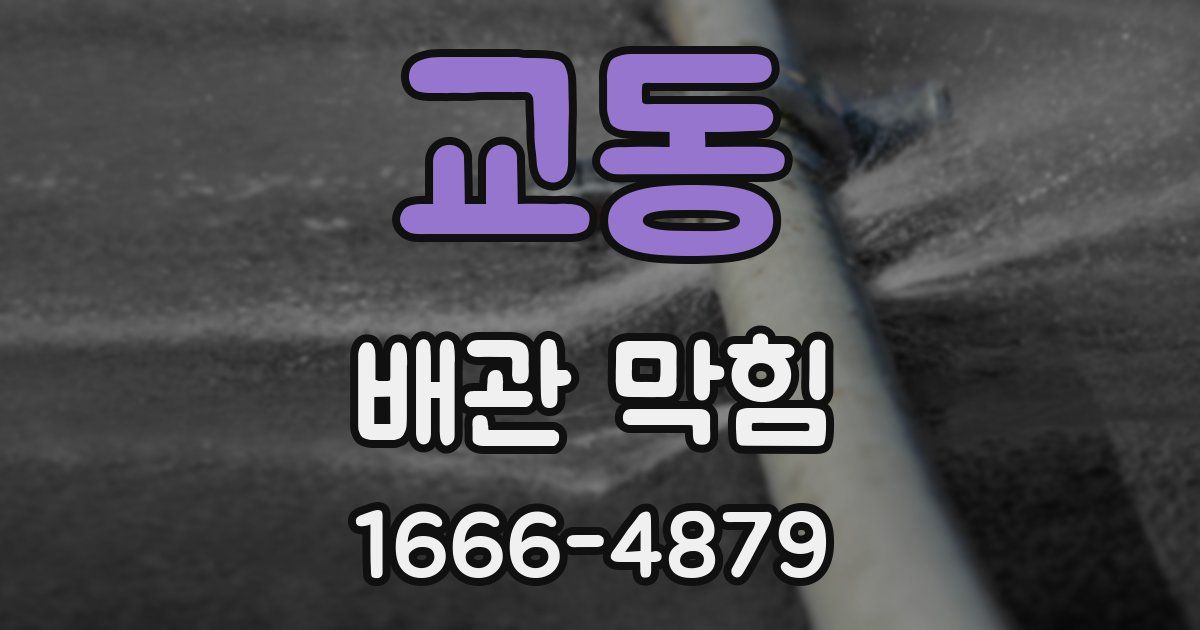 교동 배관 막힘