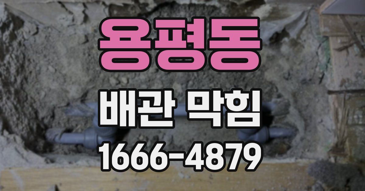 용평동 배관 막힘