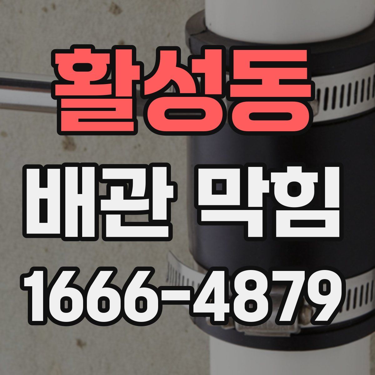 활성동 배관 막힘