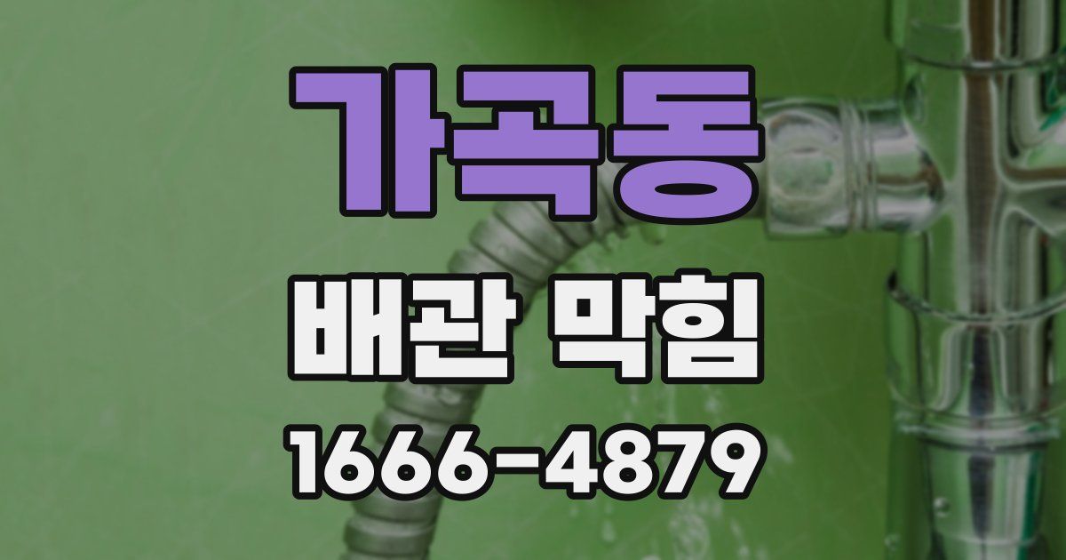 가곡동 배관 막힘