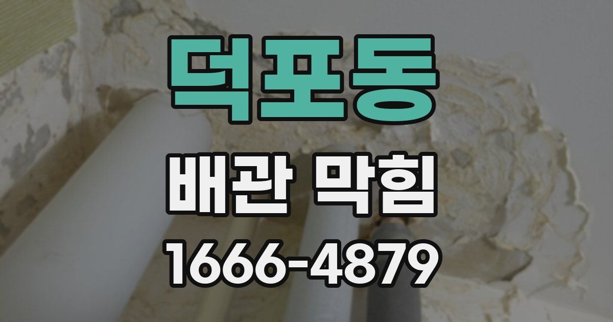 덕포동 배관 막힘