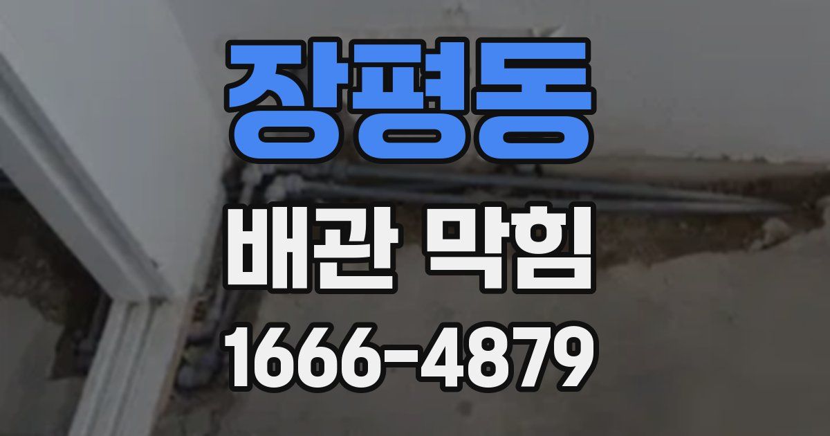 장평동 배관 막힘