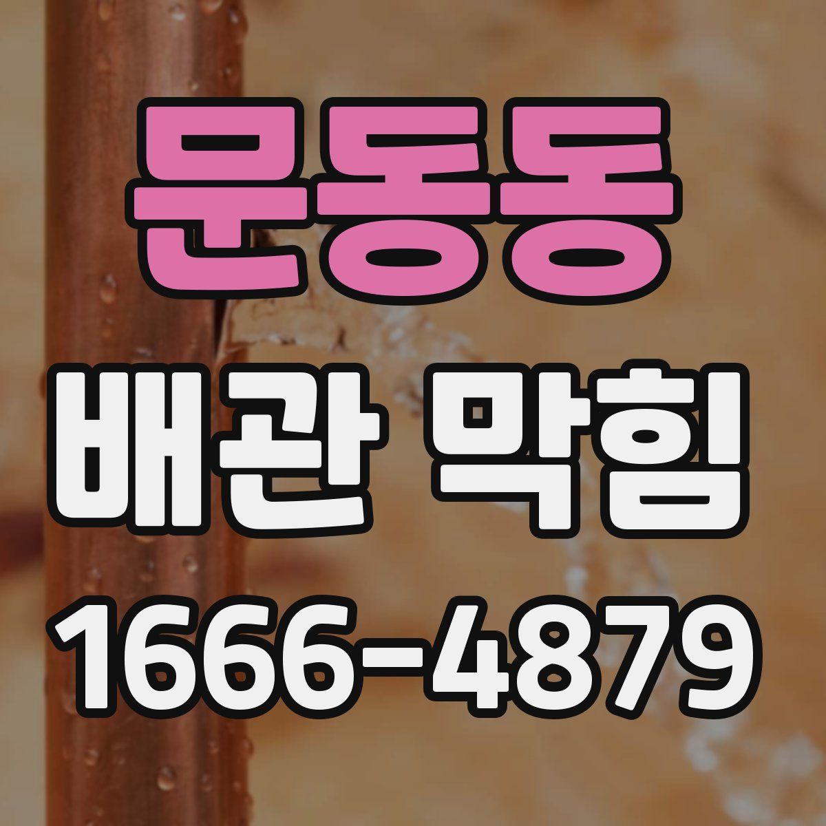 문동동 배관 막힘