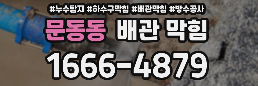 문동동 배관 막힘