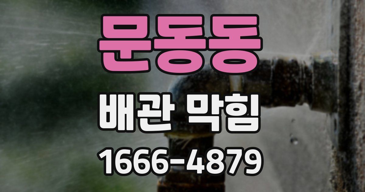 문동동 배관 막힘
