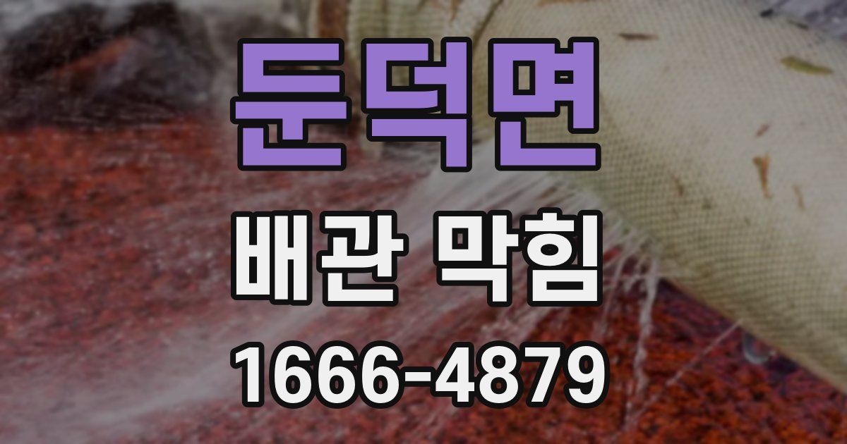 둔덕면 배관 막힘