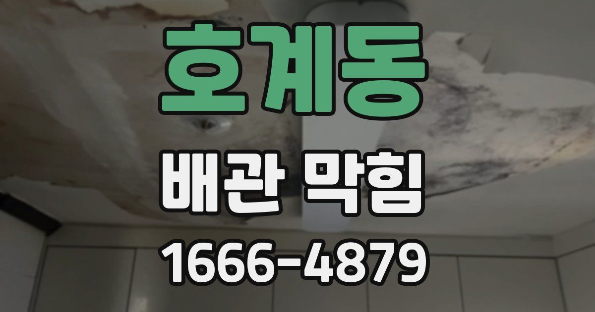 호계동 배관 막힘