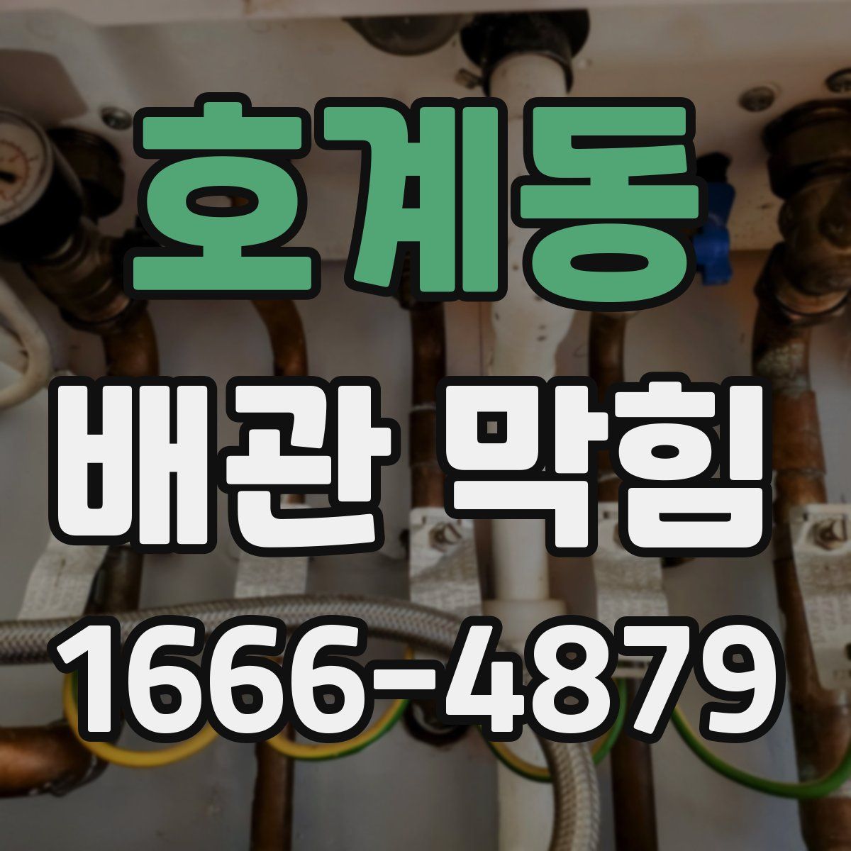 호계동 배관 막힘