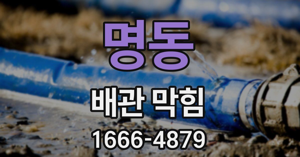 명동 배관 막힘