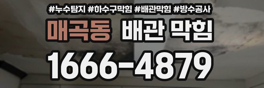 매곡동 배관 막힘