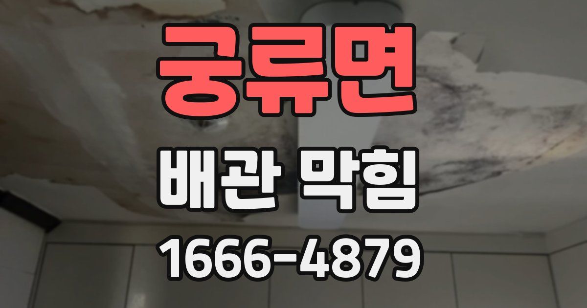 궁류면 배관 막힘