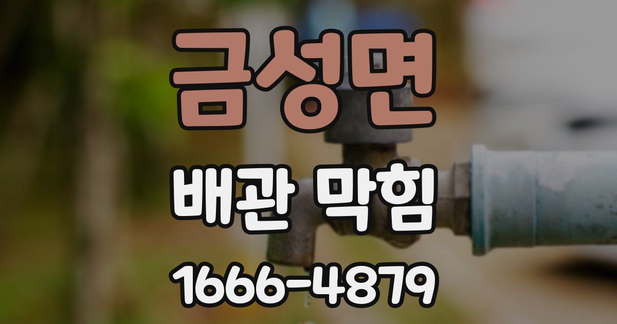 금성면 배관 막힘