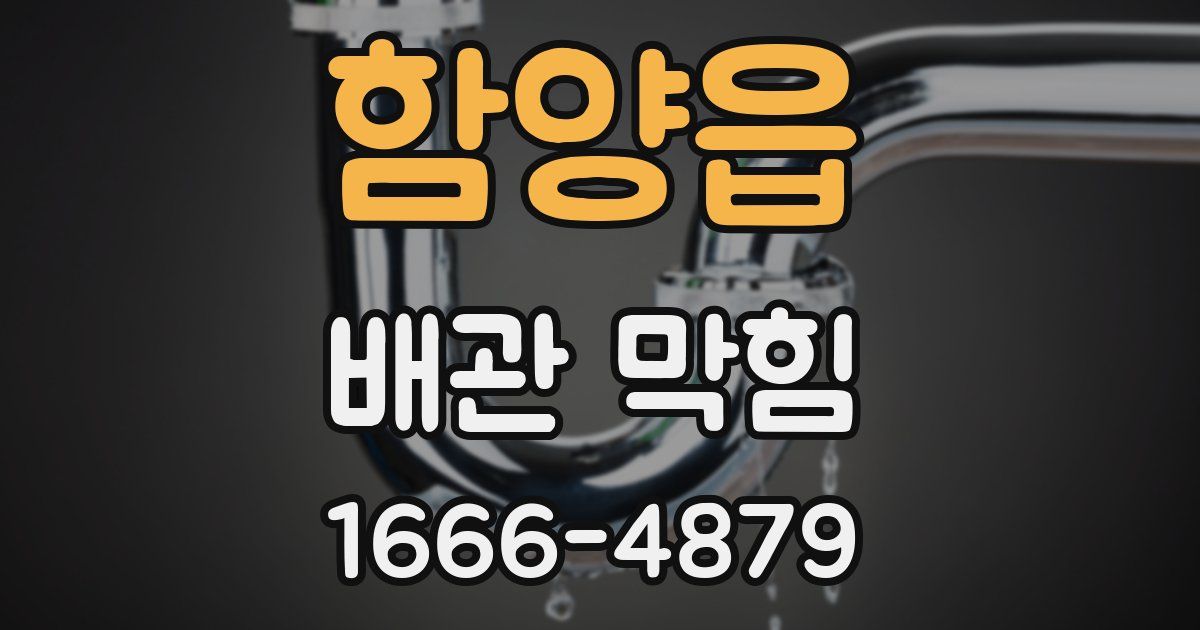 함양읍 배관 막힘