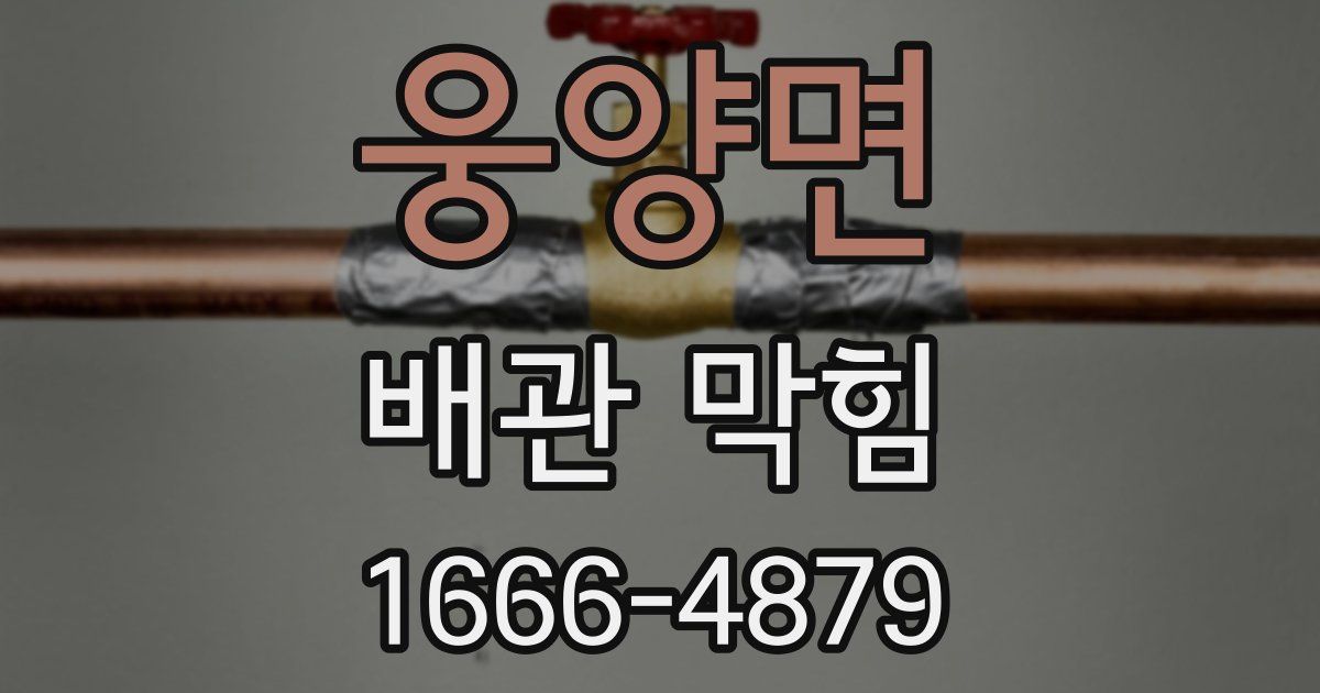 웅양면 배관 막힘