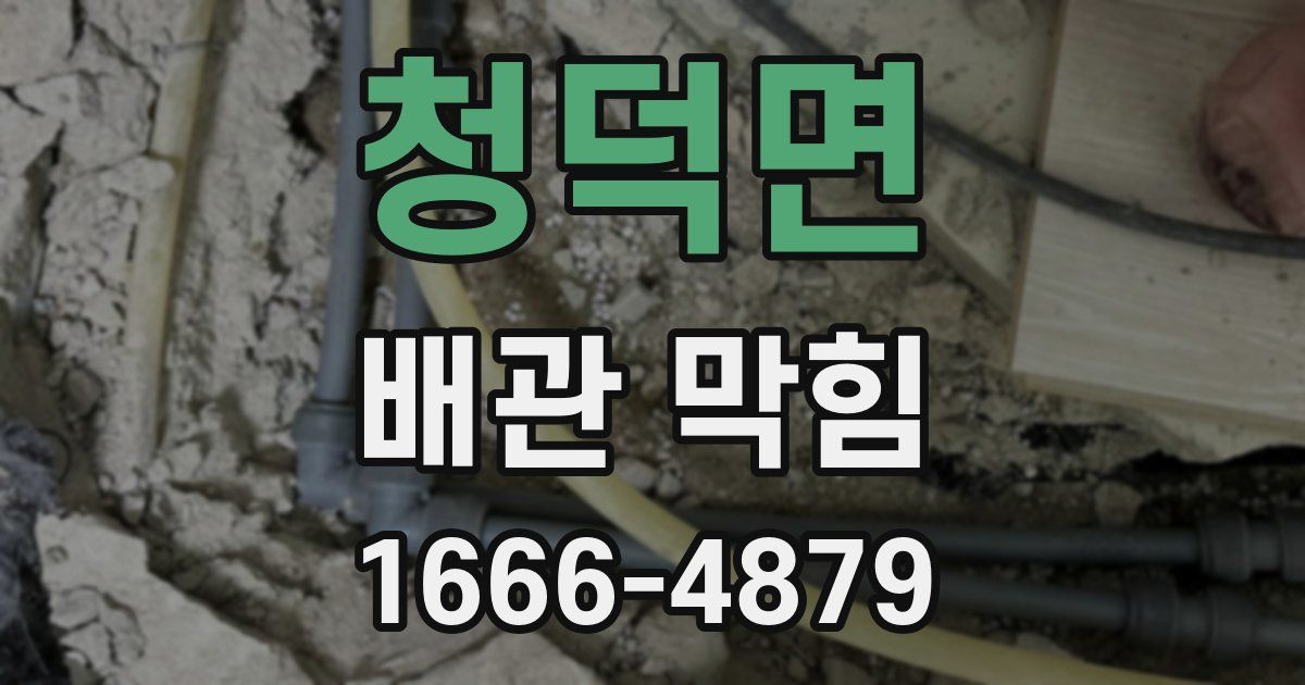 청덕면 배관 막힘
