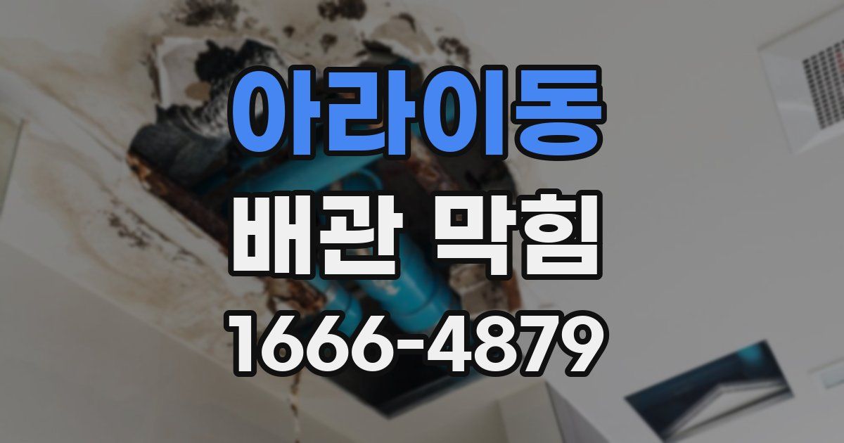 아라이동 배관 막힘