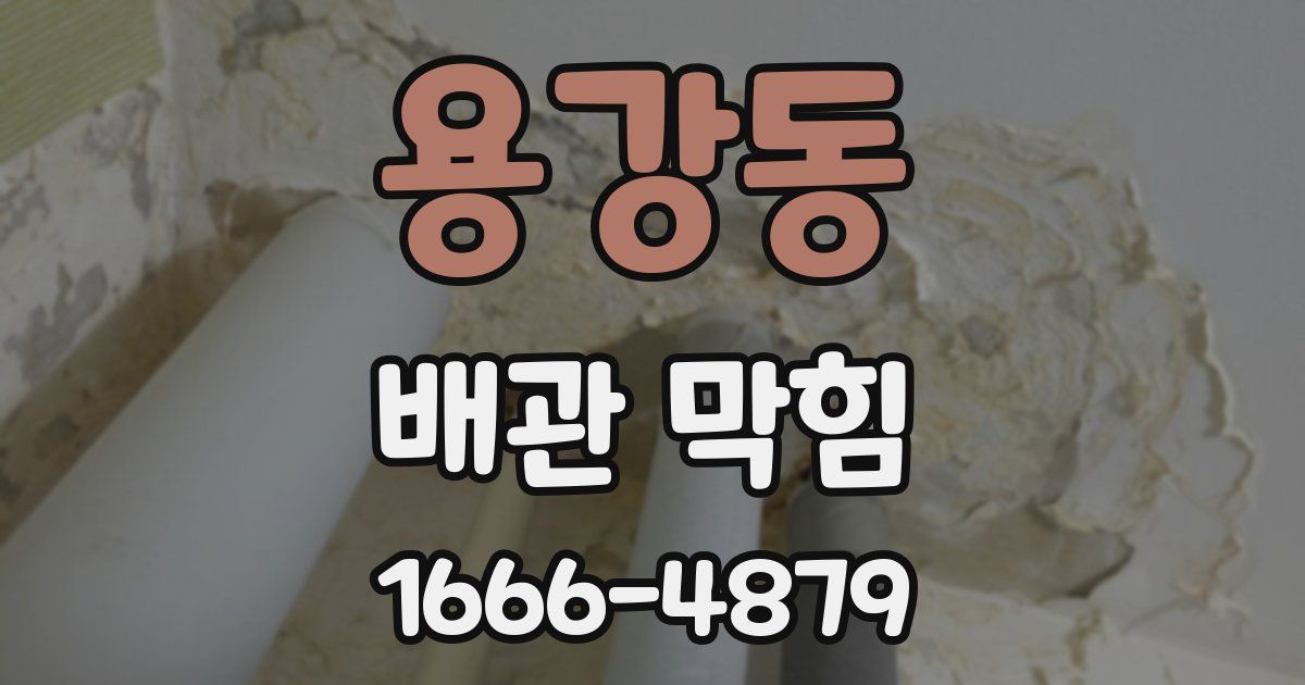 용강동 배관 막힘