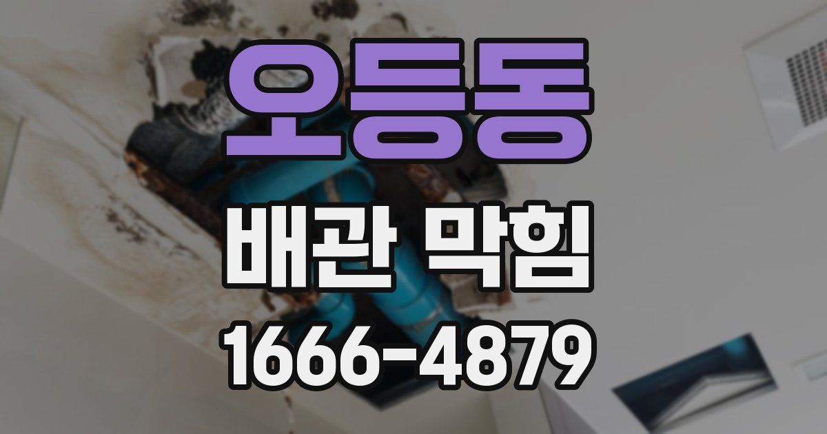 오등동 배관 막힘