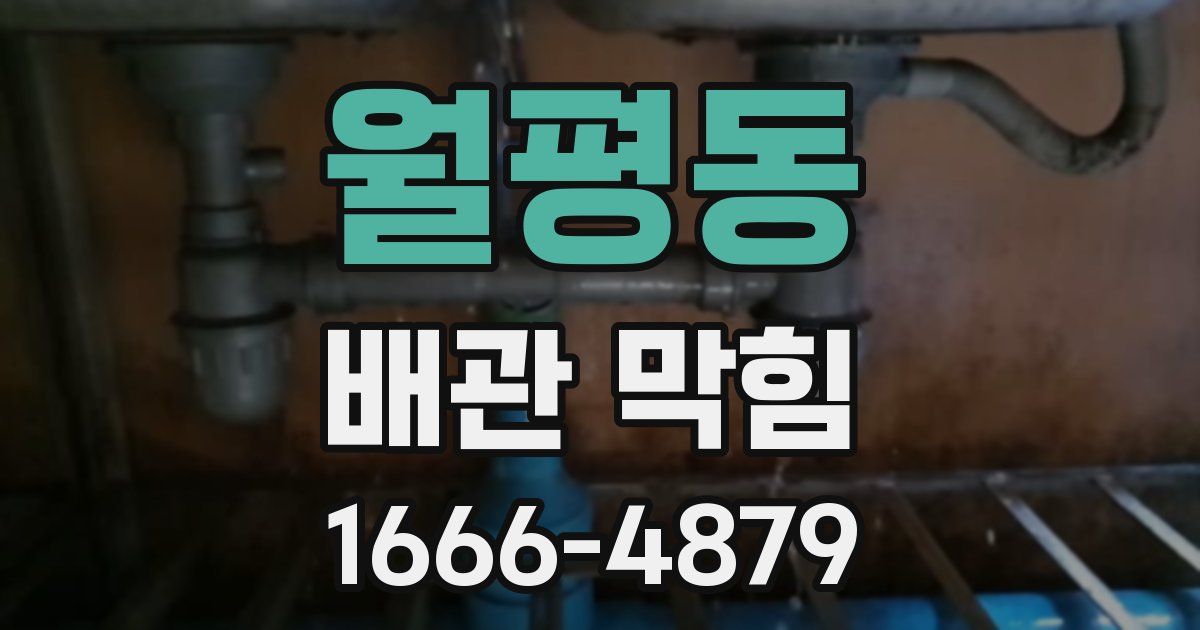 월평동 배관 막힘