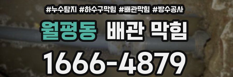 월평동 배관 막힘