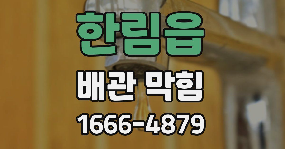 한림읍 배관 막힘