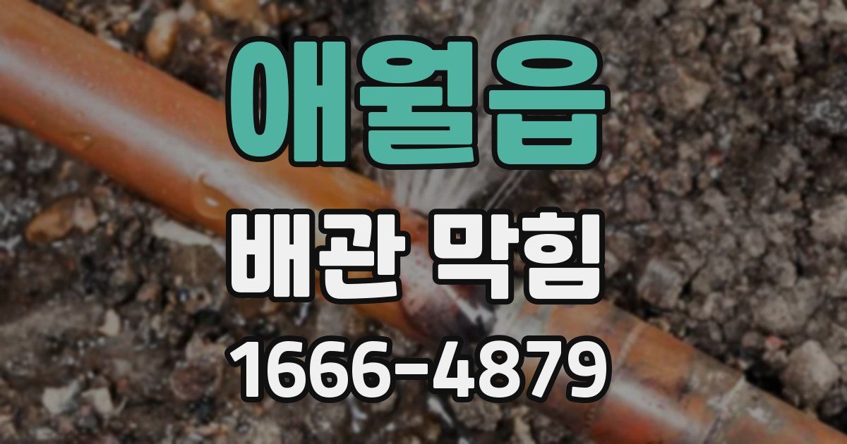 애월읍 배관 막힘