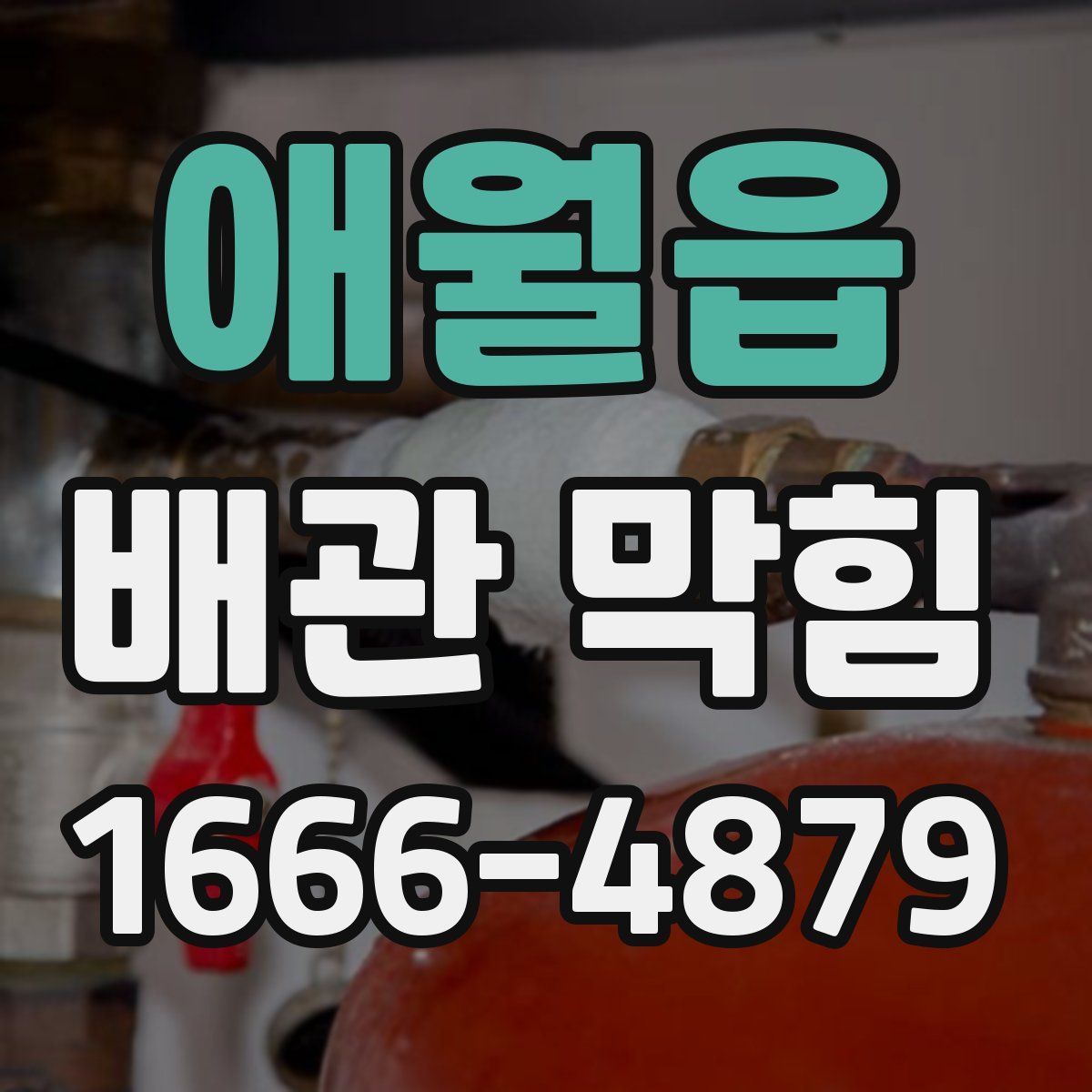 애월읍 배관 막힘