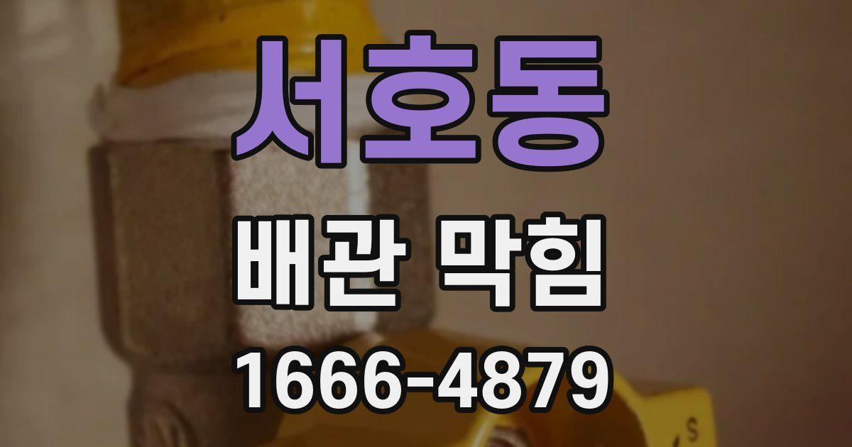 서호동 배관 막힘