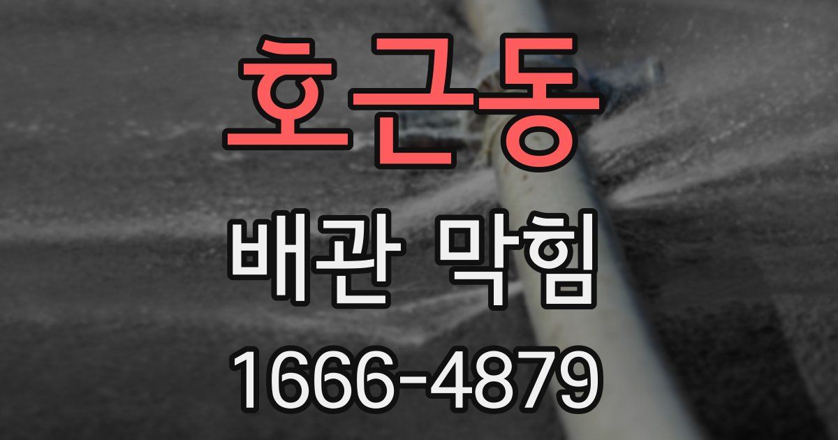 호근동 배관 막힘
