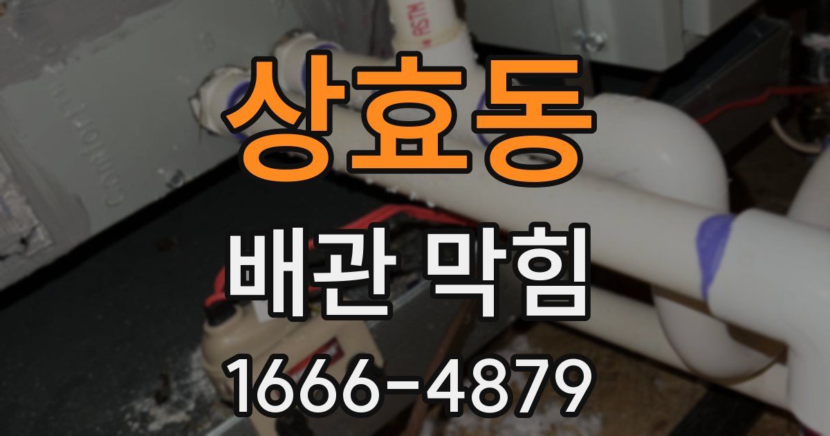 상효동 배관 막힘