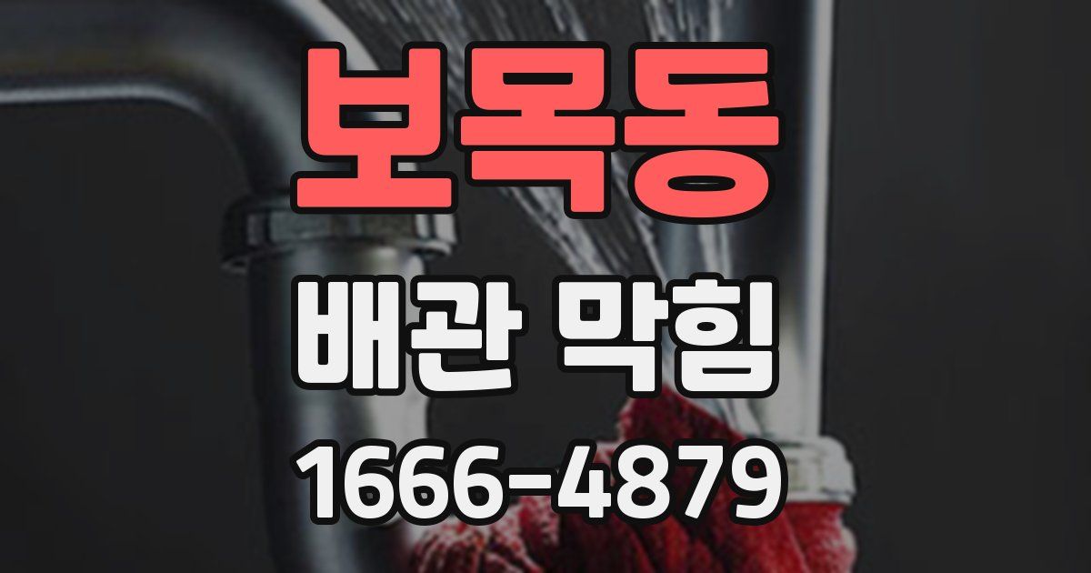 보목동 배관 막힘