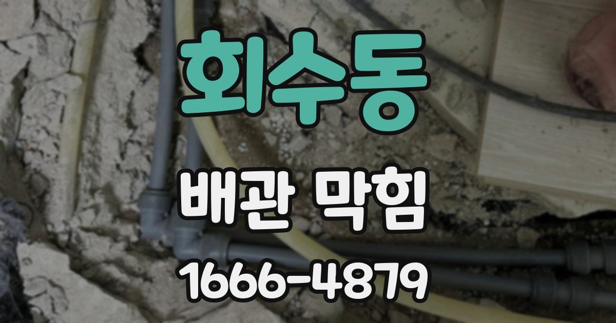 회수동 배관 막힘