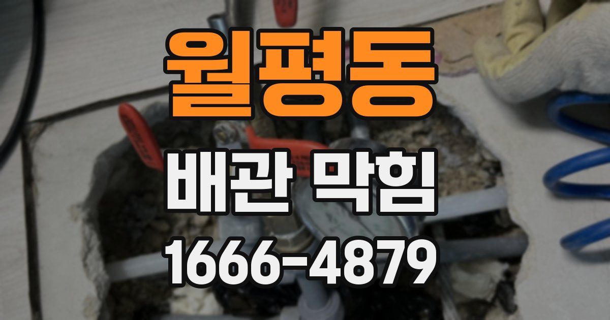월평동 배관 막힘