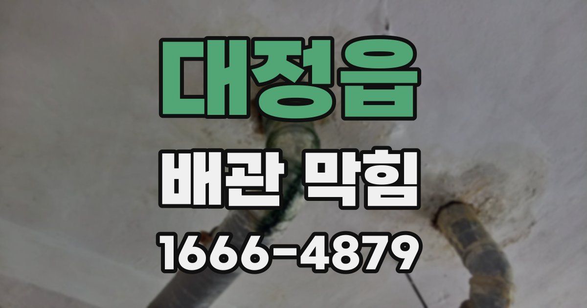 대정읍 배관 막힘