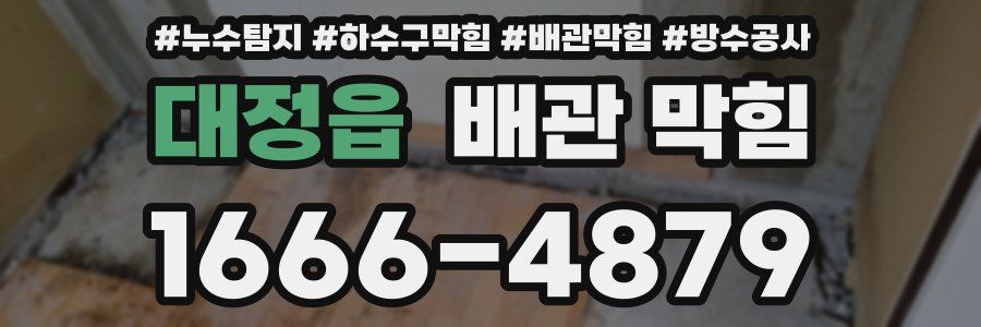 대정읍 배관 막힘