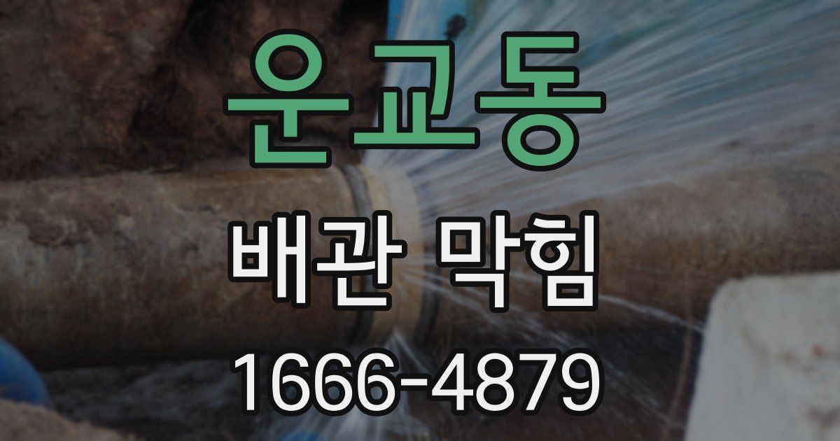 운교동 배관 막힘